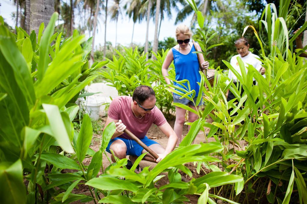 Chantaramas Beach Resort Koh Phangan Baan Khai Εξωτερικό φωτογραφία